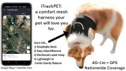 Waterproof Dog GPS Collar Tracker Rechargeable with Movement Detector Size:M