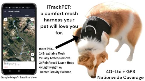 Waterproof Dog GPS Collar Tracker Rechargeable with Movement Detector Size:M