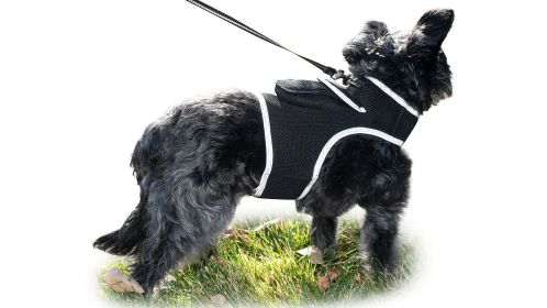 Waterproof Pet Tracker Realtime GPS Dog Tracking Systems Wearable Locator Size:M