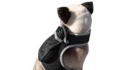 Small Realtime GPS Pet Tracker Waterproof Dog Collar Tracking Device Size:M