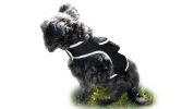 Small Wireless GPS Tracker for Dog Waterproof Surveillance Pet Finder Size:M