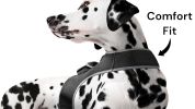 Track Pets Anywhere with Pet Tracker Waterproof GPS Tracking Chip for Dogs Size:M