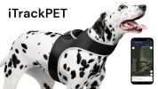 Waterproof Mini Realtime GSM GPS Pet Tracker for Small Dog w/ SIM Slot Size:M