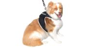 Small Water Proof Portable Mini GSM GPRS Reliable GPS Tracker for Dogs Size:M