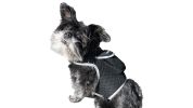 Small Realtime GPS Pet Tracker Waterproof Dog Collar Tracking Device Size:M