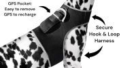 Track Dog Cat with Waterproof Realtime Mini GPS GSM GPRS Pet Tracker Size:M