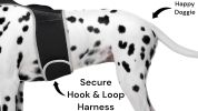 Water Resistant Small Pet GPS Collar Tracker Rechargeable Locator for Big Dogs Size:M