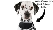 Waterproof GSM GPS Locator for Dogs Rechargeable Realtime Pet Tracker Size:M